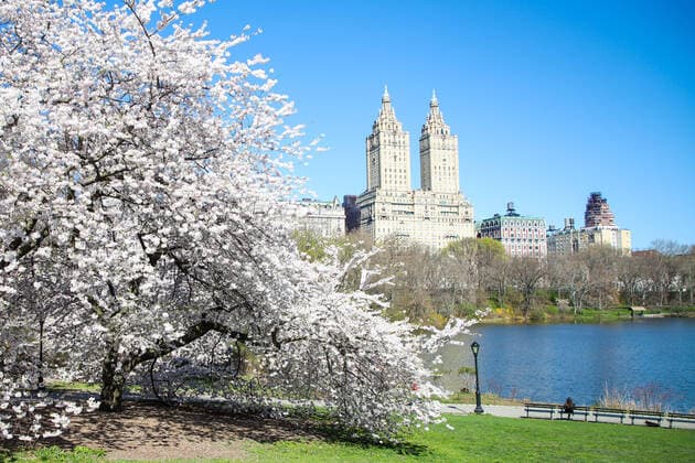 April 6, 2020, New York, NEW YORK, EUA: View of Central Park in the spring in New York during the Coronavirus Covid-19 pandemic in the United States. New York EUA - ZUMAc233 47120005st Copyright: xVanessaxCarvalhox