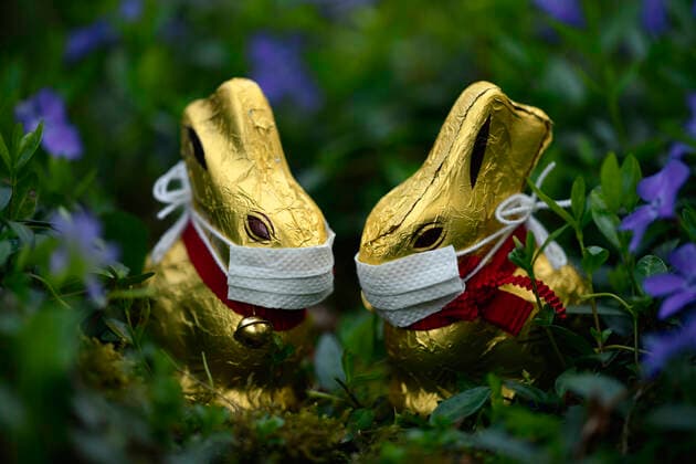 Symbolbild Ostern während der Corona-Krise, zwei Schoko-Osterhasen mit Mundschutz im kleinen Immergrün (Vinca minor), Stuttgart, Baden-Württemberg, Deutschland Kühlschrank prall gefüllt