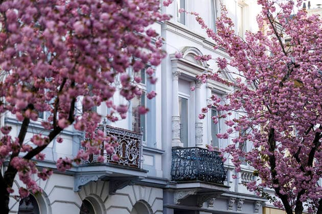 Wegen des Coronavirus sperrt die Stadt Bonn die Kirschblüte für Besucher. Bonn, 08.04.2020