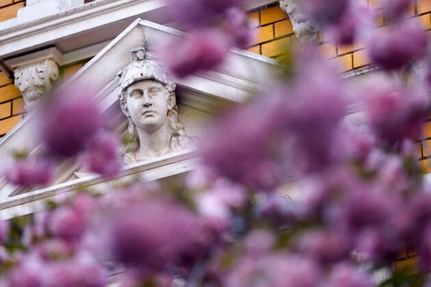 Wegen des Coronavirus sperrt die Stadt Bonn die Kirschblüte für Besucher. Bonn, 08.04.2020