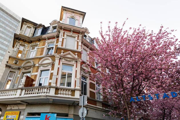 Wegen des Coronavirus sperrt die Stadt Bonn die Kirschblüte für Besucher. Bonn, 08.04.2020