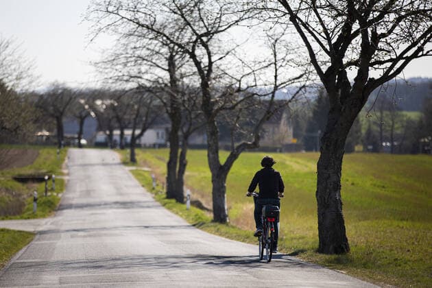 IMAGO Creative: Gesellschaft, Mobilität auf dem Land Eine Frau faehrt Fahrrad auf einer Landstrasse in Pfaffendorf, 08.04.2020. Aufgrund der Verbreitung des Coronaviruses gibt es deutschlandweit Ausgangsbeschraenkungen. Pfaffendorf Deutschland *** A woman riding a bicycle on a country road in Pfaffendorf, 08 04 2020 Due to the spread of the coronavirus, there are restrictions on the use of the bicycle throughout Germany Pfaffendorf Germany Copyright: xFlorianxGaertner photothek.netx