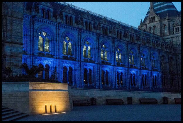 . 09 04 2020. London, United Kingdom. History Museum Lit Blue for NHS. The Natural History Museum is illuminated in blue lights during the Clap for the NHS.  xMartynxWheatleyx xi-Imagesx IIM-21006-0002