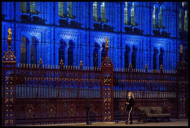 . 09 04 2020. London, United Kingdom. History Museum Lit Blue for NHS. The Natural History Museum is illuminated in blue lights during the Clap for the NHS.  xMartynxWheatleyx xi-Imagesx IIM-21006-0005
