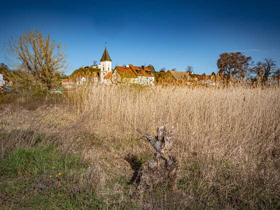 Lebus im Landkreis MOL Märkisch Oderland in Brandenburg, an der Oder Odra Lebus *** Lebus in the district of MOL Märkisch Oderland in Brandenburg, an der Oder Odra Lebus