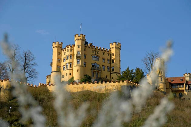 09.04.2020, Füssen im Allgäu, Negative Auswirkungen wegen der Corona-Virus-Pandemie auf den Tourismus im Allgäu, Schloss Hohenschwangau. Vorne Blüht ein Baum. 09.04.2020, Auswirkungen Tourismus wegen Corona-Virus 09.04.2020, Auswirkungen Tourismus wegen Corona-Virus