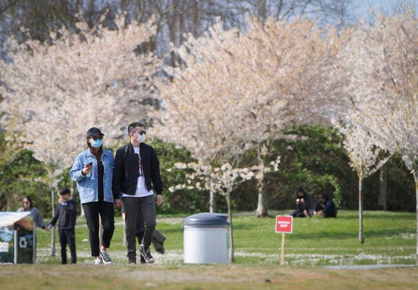 (200411) -- RICHMOND, April 11, 2020 (Xinhua) -- People wearing face masks admire cherry blossoms at Garry Point Park in Richmond, Canada, April 10, 2020. (Photo by Liang Sen Xinhua) CANADA-RICHMOND-CHERRY BLOSSOMS 