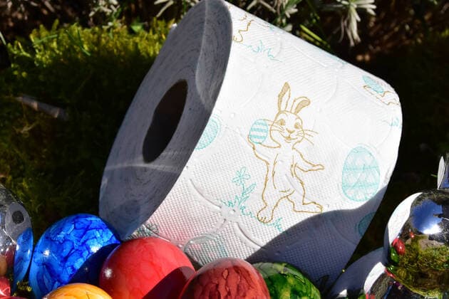 Osternest mit Rolle Toilettenpapier Osternest mit einer Rolle Toilettenpapier mit Osterhasenmotiv. MitEiern und Osterhase auf Moos. Bad Laer Niedersachsen Deutschland