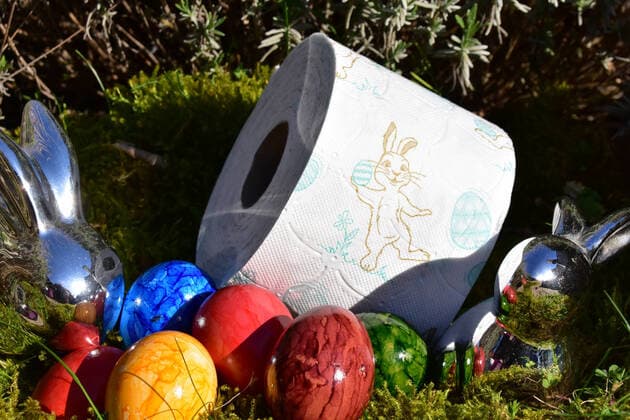 Osternest mit Rolle Toilettenpapier Osternest mit einer Rolle Toilettenpapier mit Osterhasenmotiv. MitEiern und Osterhase auf Moos. Bad Laer Niedersachsen Deutschland