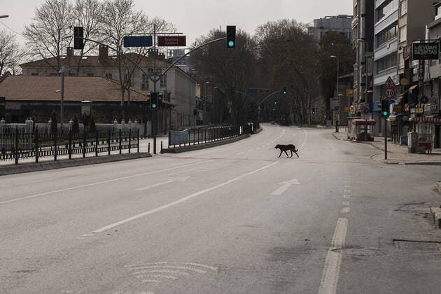 Istanbul™s normally crowded but now mostly deserted Kadikoy district streets after the two-day curfew declared by the government to slow coronavirus spread, in Istanbul, Saturday, April 11, 2020. Copyright: MuratxBaykara 16718146
