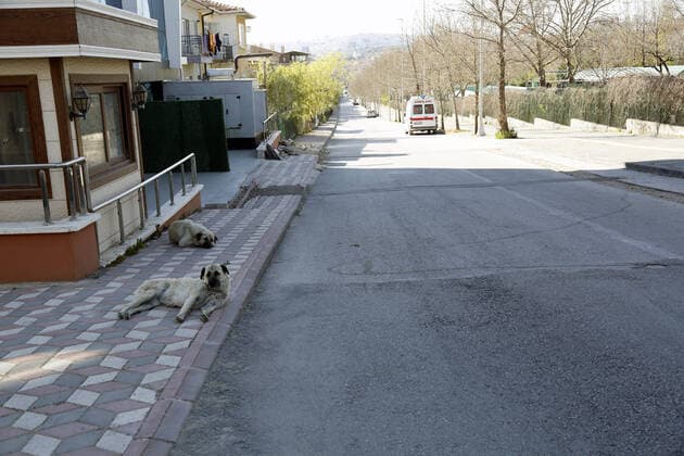 (200412) -- ANKARA, April 12, 2020 (Xinhua) -- Photo taken on April 12, 2020 shows an empty road under a curfew in Ankara, Turkey. The total number of COVID-19 cases in Turkey has risen to 56,956 with 4,789 new ones reported in the last 24 hours, Turkish Health Minister Fahrettin Koca said Sunday. (Photo by Mustafa Kaya Xinhua) TURKEY-ANKARA-COVID-19-CURFEW 