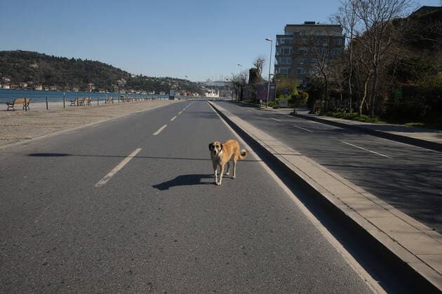 Normally busy but now mostly deserted Besiktas District at Bosphorus in Istanbul after the curfew declared by the government to slow coronavirus spread, Sunday, April 12, 2020. Pictures show Bebek, Arnavutkoy, Akintiburnu and Kurucesme villages at Bosphorus in Istanbul Copyright: TolgaxAdanali 16718999
