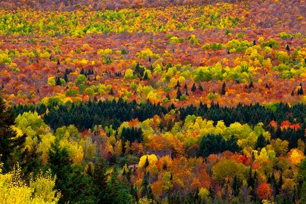 Bunter Mischwald im Herbst, Parc national du Mont-Mégantic, Val-Racine, Quebec, Kanada, Nordamerika *** Colourful mixed forest in autumn, Parc national du Mont Mégantic, Val Racine, Quebec, Canada, North America Copyright: imageBROKER DavidxChapman ibxdch05109721.jpg