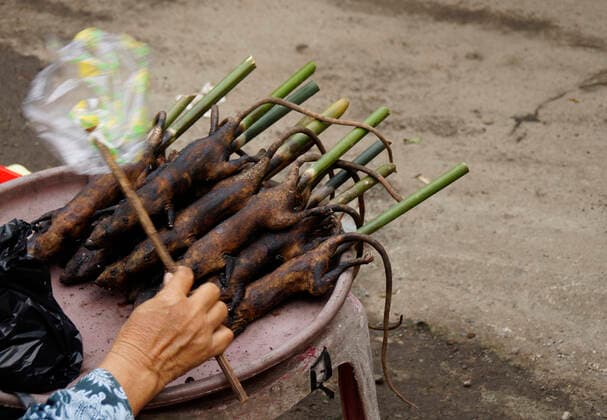 Ratten auf Spießen; geschlachtet und gebraten auf einer Straße; Market in Wuhan; COVID-19-Virus; Coronavirus; Tiermarkt in Asien; Wuhan; Virus; Pandemie; Epedemie; Tier; Blut