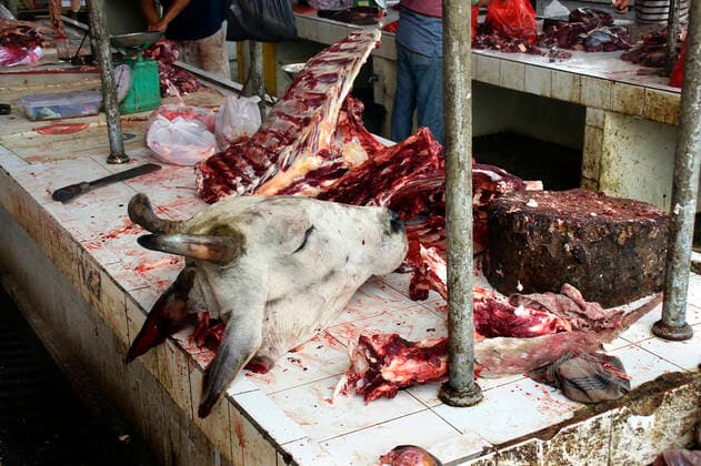 Rinder geschlachtet; Rinderkopf; Market in Wuhan; COVID-19-Virus; Coronavirus von der Fledermaus auf die Menschen?; Tiermarkt in Asien; Tomohon extrem Market; Wuhan; Virus; Pandemie; Epedemie; Tier; Blut