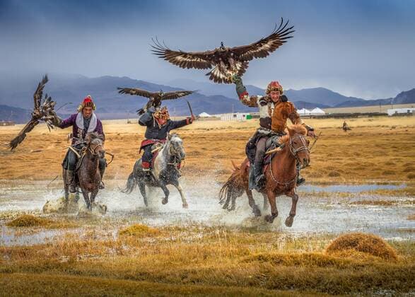  Mongolischer Adlerjäger, drei Kasachen zu Pferd mit dressierten Adlern, Provinz Bajan-Ölgii, Mongolei, Asien *** Mongolian eagle hunter, three Kazakhs on horseback with trained eagles, Bajan Ölgii province, Mongolia, Asia Copyright: imageBROKER/BayarxBalgantseren iblbay05238808.jpg