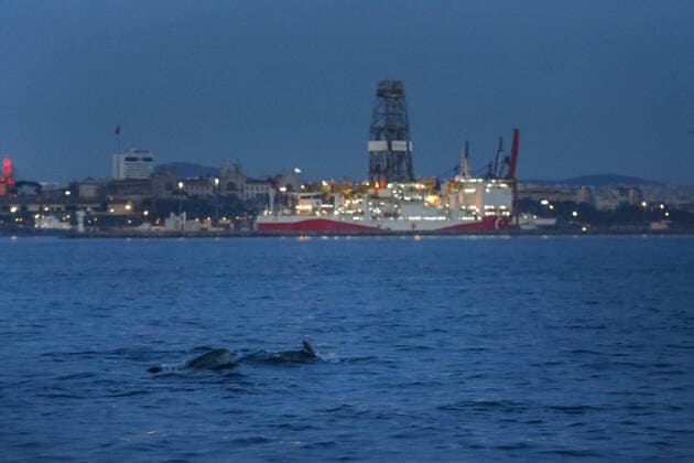 Dolphins swim in the Bosphorus with a low boat traffic in the natural strait of Istanbul on April 19 2020. Turkey has confirmed 4,674 deaths and 90,980 positive cases of the coronavirus infection in the country. ( Copyright: KemalxAslanx-xDepoxPhotos 16724953