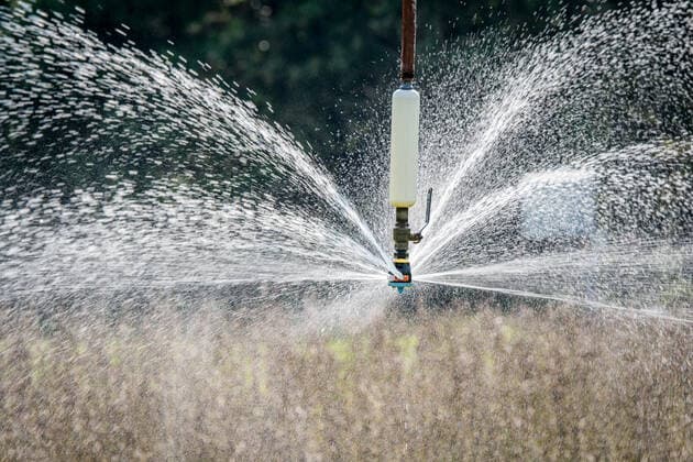 IMAGO Nature: Unsere Erde, Klimawandel, Ernährung, Pflanzen der Zukunft, Soja Water spraying out of sprinkler head of irrigation system as it waters field of soybeans, Tifton, Georgia Tifton Georgia USA Copyright: xEdwinxRemsbergx xVWPicsx ERE-remsberg_1709191342