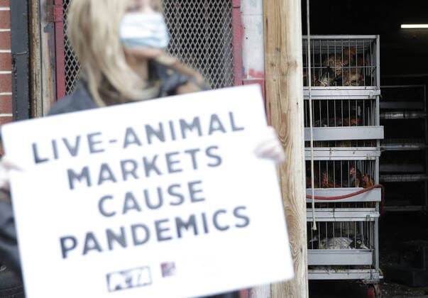 A protester holds a sign standing in front T & S Live Poultry as PETA holds a protest urging closures to live-animal markets in order to stop animal-borne diseases from spreading in New York City on Tuesday, April 21, 2020. The Coronavirus is believed to have originated in a wet market in China, where live and dead animals were sold for food.  NYP20200421115 JOHNxANGELILLO