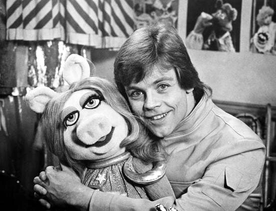 THE MUPPET SHOW, Miss Piggy, Mark Hamill, (Season 4, aired February 21, 1980), 1976-1981 Courtesy Everett Collection !ACHTUNG AUFNAHMEDATUM GESCHÃ„TZT! PUBLICATIONXNOTxINxCANxCHNxFRAxITAxJPNxNORxPOLxRUSxESPxUKxUSA Copyright: xCourtesyxEverettxCollectionx TBDMUSH EC019