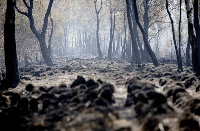 IMAGO Nature: Unsere Erde, Energiequellen, Torf Niederlande, Moorbrand im Deurnese Peel 2020-04-23 10:04:37 DEURNE - Burned trees and peat in De Peel Nature Park, Deurne, The Netherlands, 23 April, 2020. The fire in the Deurnese Peel is the largest wildfire ever in the Netherlands. ANP SEM VAN DER WAL  Copyright: xANPxSEMxVANxDERxWALx x409765176x