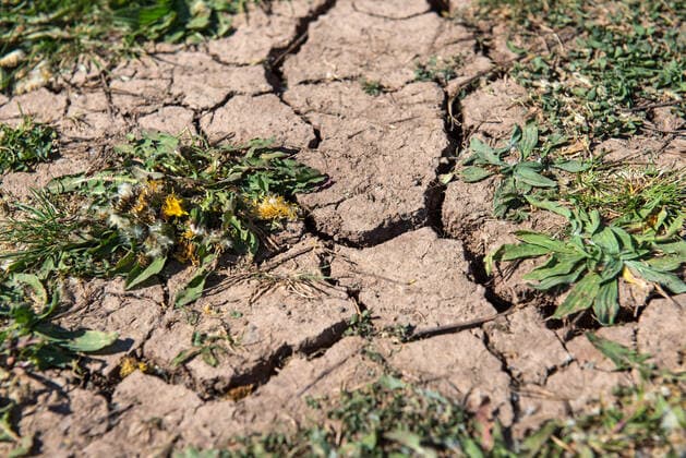 Ausgetrockneter Boden im Fruehling in Hessen (Foto vom 26.04.2020). Der Regen bleibt aus, die Wahrscheinlichkeit einer Duerre nimmt zu. Die derzeitige Lage erinnert Meteorologen an den Sommer 2018. Laut Deutschem Wetterdienst ist in dieser Woche ein bisschen Regen in Sicht. Die Mengen werden aber wohl nicht ausreichen, die vergangenen Wochen auszugleichen. Am 29. April will der Deutsche Wetterdienst seine vorlaeufige Wetterbilanz fuer den laufenden Monat veroeffentlichen. Anhaltende Trockenheit