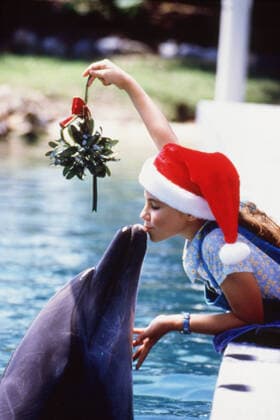 FLIPPER : THE NEW ADVENTURES, Flipper, Laura Donaldson, 1995-2000. Universal Television Courtesy: Everett Collection Universal Courtesy Everett Collection !ACHTUNG AUFNAHMEDATUM GESCHÃ„TZT! PUBLICATIONXNOTxINxCANxCHNxFRAxITAxJPNxNORxPOLxRUSxESPxUKxUSA Copyright: xUniversal CourtesyxEverettxCollectionx TSDFLIP EC003