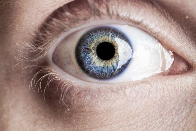 Macro blue eye with lots of details Macro blue eye with lots of details using studio lights  Copyright: xaetbx 9831898