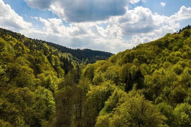 Drohnenaufnahmen vom Nationalpark Eifel, 27.04.2020 Sonne über einem Mischwald im Nationalpark Eifel bei der Kalltalsperre in Nordrhein-Westfalen am 27.04.2020 in Düsseldorf, , Simmerath NRW Deutschland