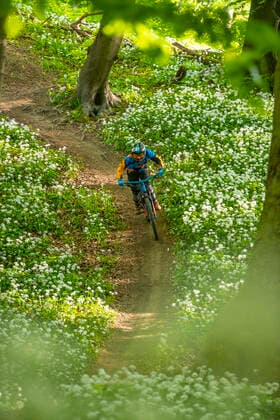 Mountainbike Junger Mountainbiker im Wald, Deister, Deutschland, 06.05.2020 Sports Sports Nature
