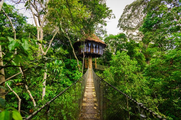 IMAGO Creative, Leben im Bamhaus One of the tree houses at the Tree House Lodge in the Amazon Jungle, Peru, South America Copyright: LauraxGrier 1218-1217 Editorial Use Only