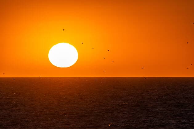 IMAGO Creative: Sonnensystem Die Sonne - Symbolbilder Norderney. 19 APR 2020. Sonnenuntergang in der Nordsee. Möwen umkreisen die letzten Sonnenstrahlen. OSTFRIESLAND. Ostfriesische Inseln. *** Norderney 19 APR 2020 Sunset in the North Sea Seagulls orbiting the last rays of the sun EAST FRIESLAND East Frisian Islands Copyright: JanisMEYER Priller&MAUG JMY0G1098X