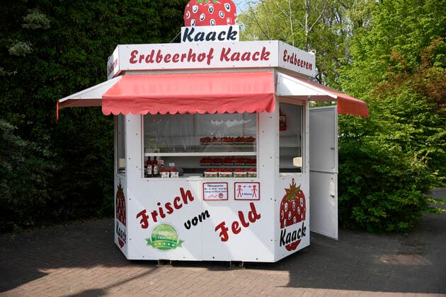 Die Erdbeere, eine der beliebtesten Obstarten Deutschlands, hat wieder Saison. Über Verkaufsstände werden diese frisch vom Feld angeboten, Vitamin-C-Bomben, Mineralstoffe, Spurenelemente, Kellinghusen Schleswig-Holstein Germany *** The strawberry, one of the most popular fruits in Germany, is back in season. The strawberries are offered fresh from the field at sales stands, vitamin C bombs, minerals, trace elements, Kellinghusen Schleswig Holstein Germany