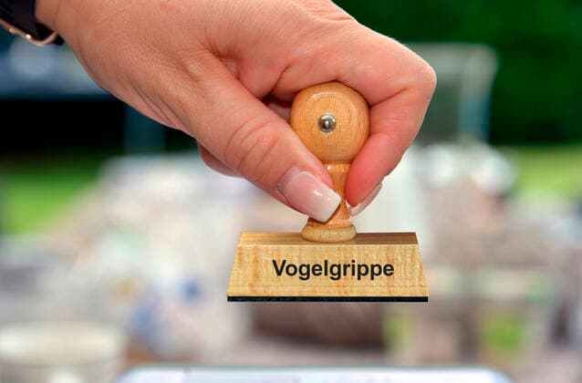 Frau haelt einen Stempel in der Hand mit der Aufschrift Vogelgrippe, Deutschland stamp in the hand of a woman lettering Vogelgrippe, Avian influenza, Germany BLWS616289 Copyright: xblickwinkel McPHOTOx