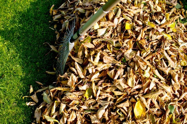 laubhaufen,kleingartenkolonie *** leaf pile,allotment gardens frc-isi