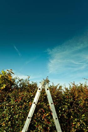 heckenschnitt,kleingarten *** hedge trimming,allotment frc-k2v