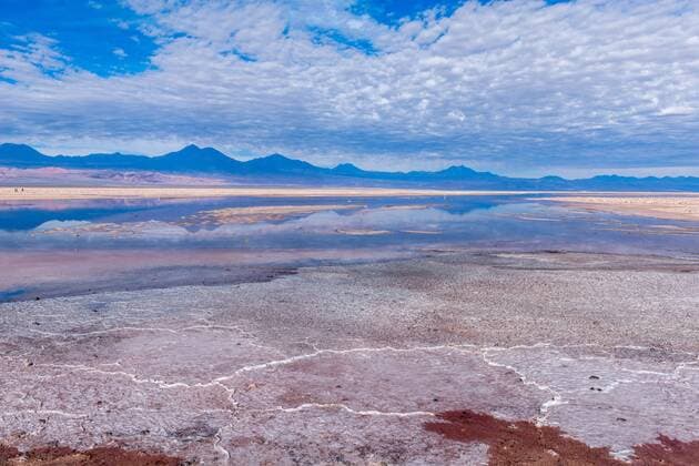 Laguna de Chaxa, Salar de Atacama, Salzsee, Atacama Wüste, San Pedro de Atacama, Antofagasta, Chile, Südamerika Copyright: imageBROKER/WolfgangxDiederich ibldie05512879.jpg