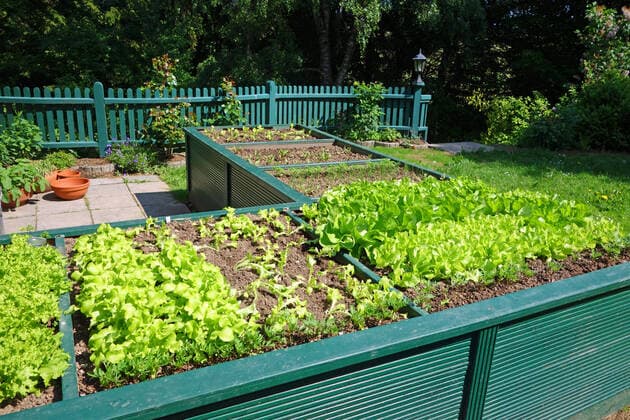gemüsegarten,hochbeet *** vegetable garden,raised bed his-g3r