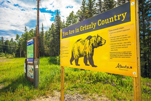 informationstafel,grizzly country