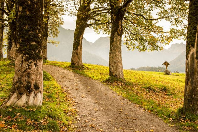herbst,laubwald,hermannsruh