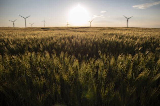 Windraeder zeichnen sich hinter einem Gerstenfeld ab, aufgenommen in Vierkirchen, 18.05.2020. Die Landwirtschaft befuerchtet das dritte Duerrejahr in Folge und damit erneut grosse Einbussen ihrer Ertraege. Vierkirchen Deutschland *** Wind turbines appear behind a barley field, recorded in Vierkirchen, 18 05 2020 Agriculture fears the third year of drought in a row and thus again a big loss of yields Vierkirchen Germany Copyright: xFlorianxGaertner photothek.netx