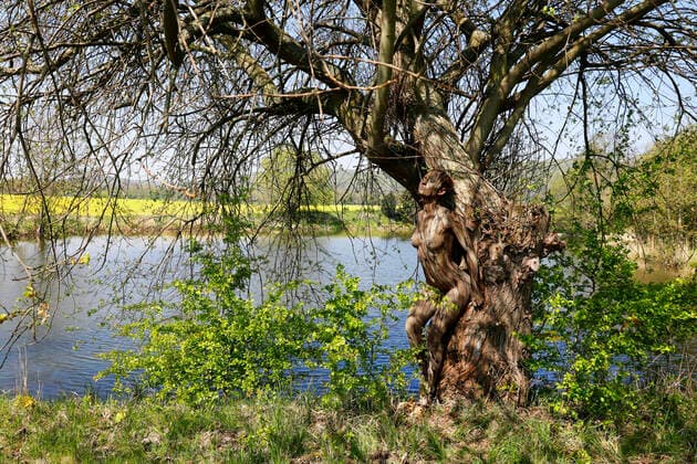 Nature Art Bodypainting mit Model Lisa als Teil eines Baumes an einem Fischeich. Springe, 18.05.2020 - Bodypainting Künstler: Jörg Düsterwald