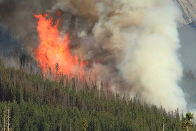 waldbrand