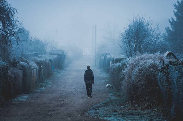 winter,ostdeutschland,gassi gehen *** winter,east germany,walk the dog nm7-fn7