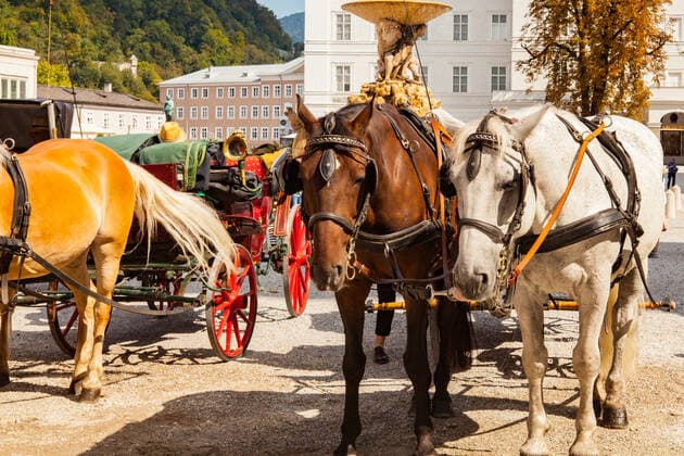 pferdekutsche,fiaker *** horse carriage,fiaker uoh-fsk