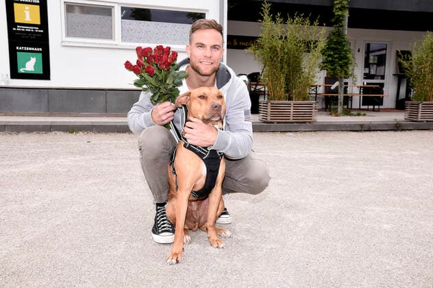 Sebastian Preuss (mit Hund Chopper) übergibt den Tierpflegern des Tierheims München zum Dank für ihren Einsatz während der Corona-Pandemie Rote Rosen. München, 25.05.2020