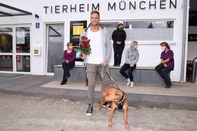Sebastian Preuss (mit Hund Chopper und Tierpflegerinnen) übergibt den Tierpflegern des Tierheims München zum Dank für ihren Einsatz während der Corona-Pandemie Rote Rosen. München, 25.05.2020