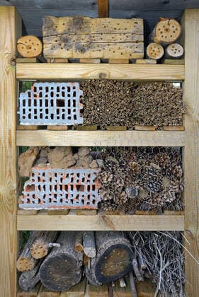 IMAGO Creative: UN Welt-Habitat-Tag am 3. Oktober insektenhotel *** insect hotel y07-gvb