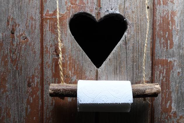 Toilette mit Herz und Klopapier, Deutschland toilet with heart and toilet paper, Germany BLWS617840 *** Toilet with heart and toilet paper, Germany toilet with heart and toilet paper, Germany BLWS617840 Copyright: xblickwinkel D.xMaehrmannx