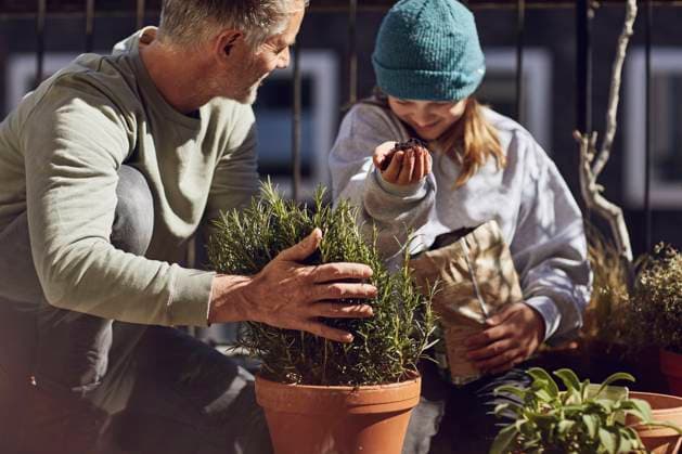 Father and daughter planting together on balcony model released Symbolfoto property released MCF00723